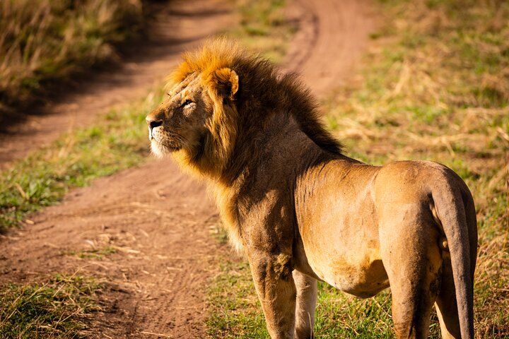 background image for - 3-Day Luxury Tarangire & Ngorongoro