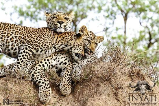 background image for - Fly In & Out From Tarangire And Ngorongoro Crater
