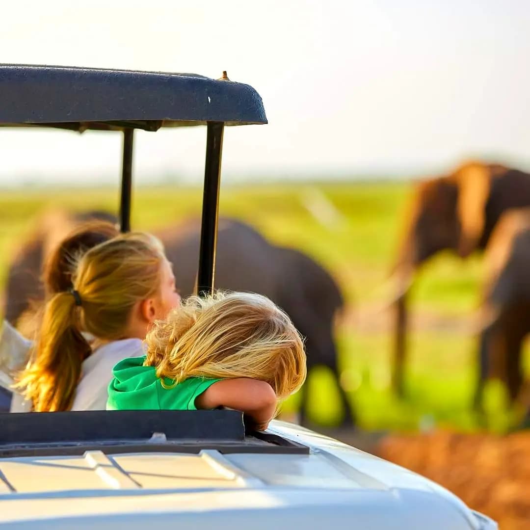Image number 2 for Tarangire, Serengeti And Ngorongoro Crater