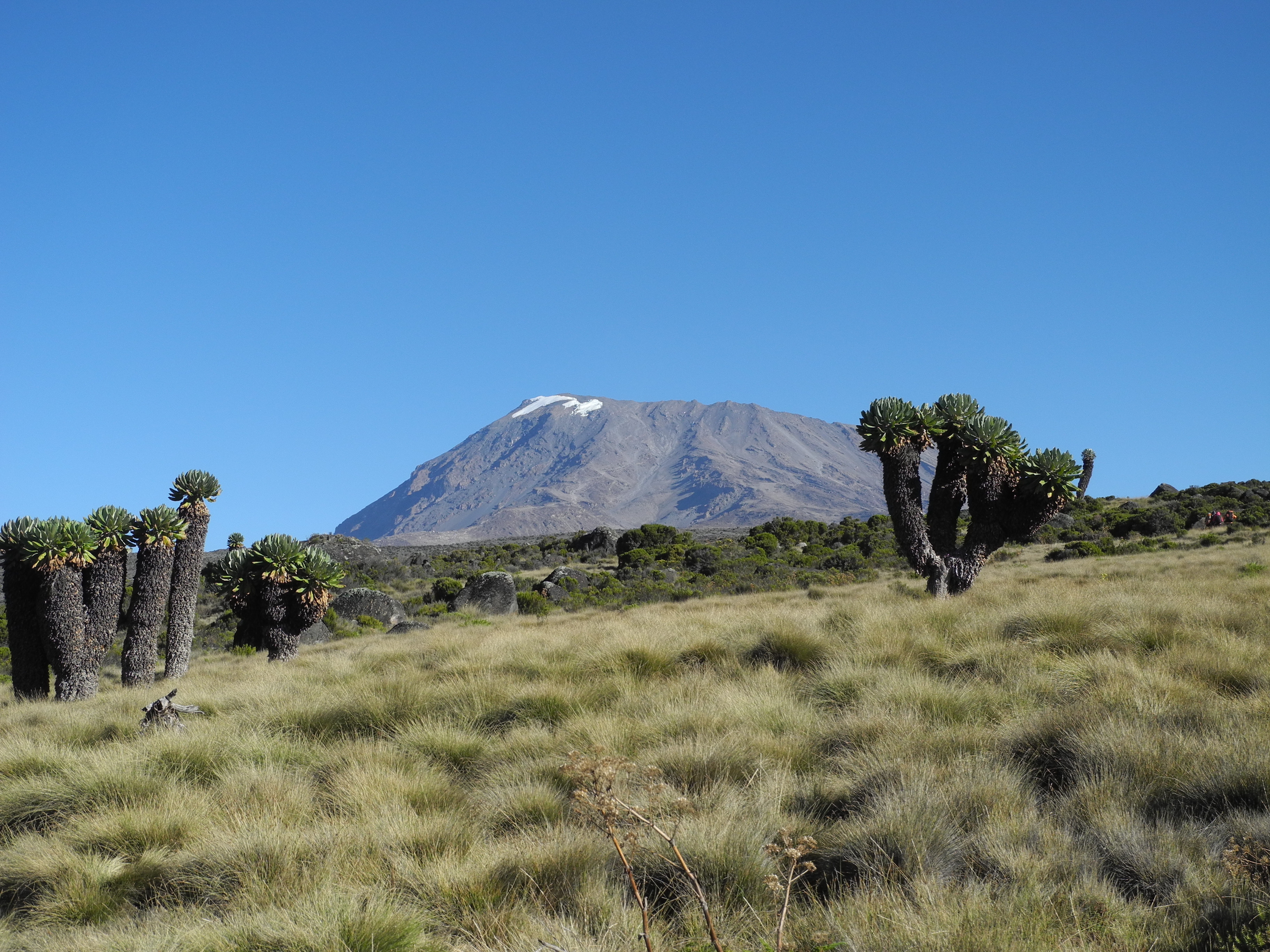 Image number 2 for 8-Day Kilimanjaro Climb: Scenic Lemosho Route