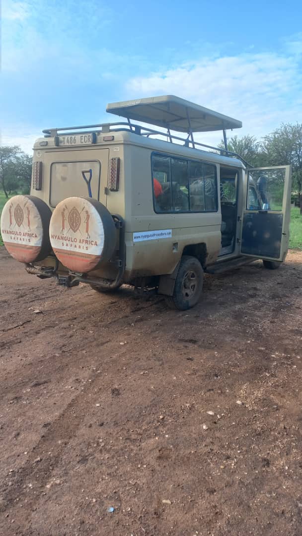 Image number 4 for 5 Days Luxury Safari Lodge