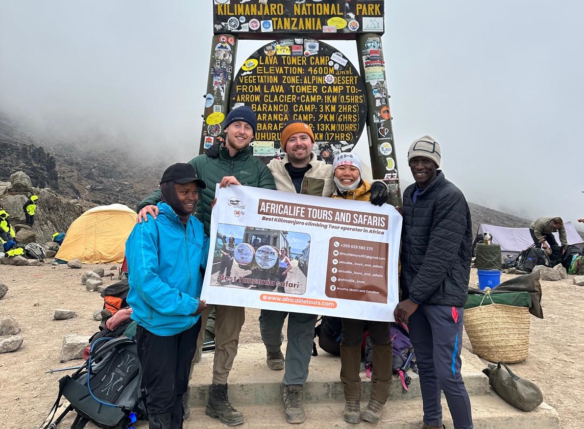 background image for - Kilimanjaro Group Joining-6 Days Machame Route