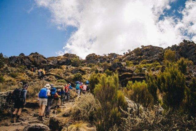 Image number 5 for Kilimanjaro Trek Rongai Route 7-Day Trek 9day Tour