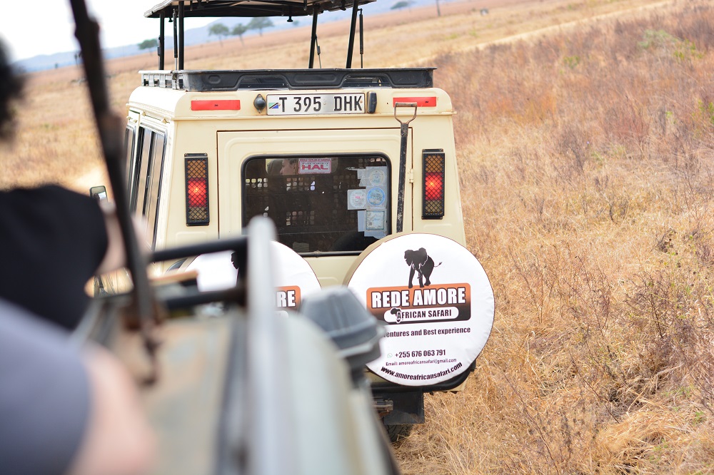 background image for - Unforgettable Day Trip Tanzania Safari From Zanzibar To Mikumi 