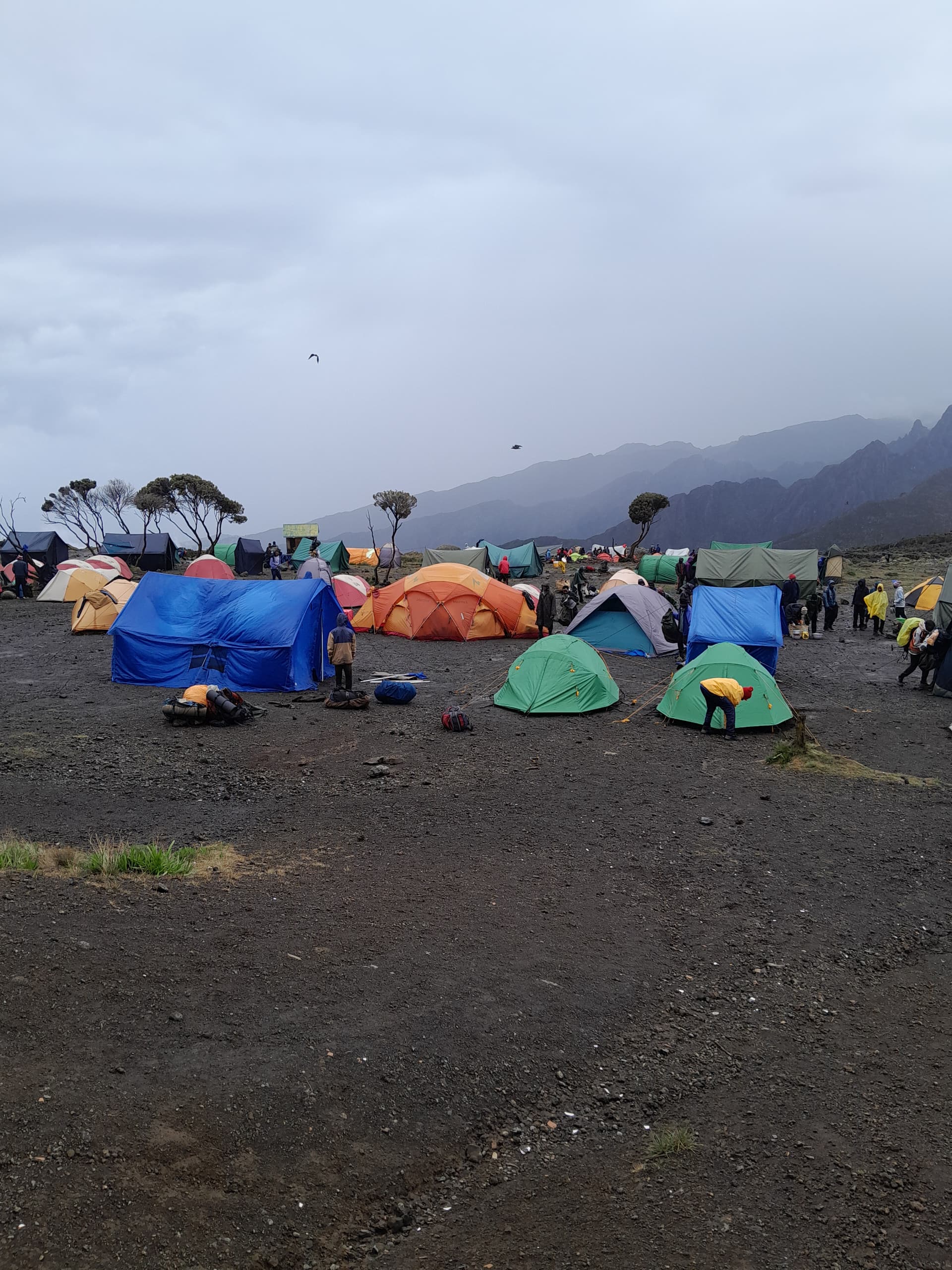 Image number 3 for Kilimanjaro Machame Route: Conquer The Roof Of Africa