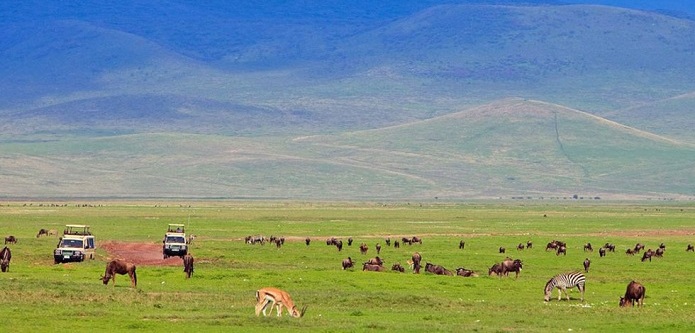 background image for - Manyara, Ngorongoro Crater, Serengeti. 