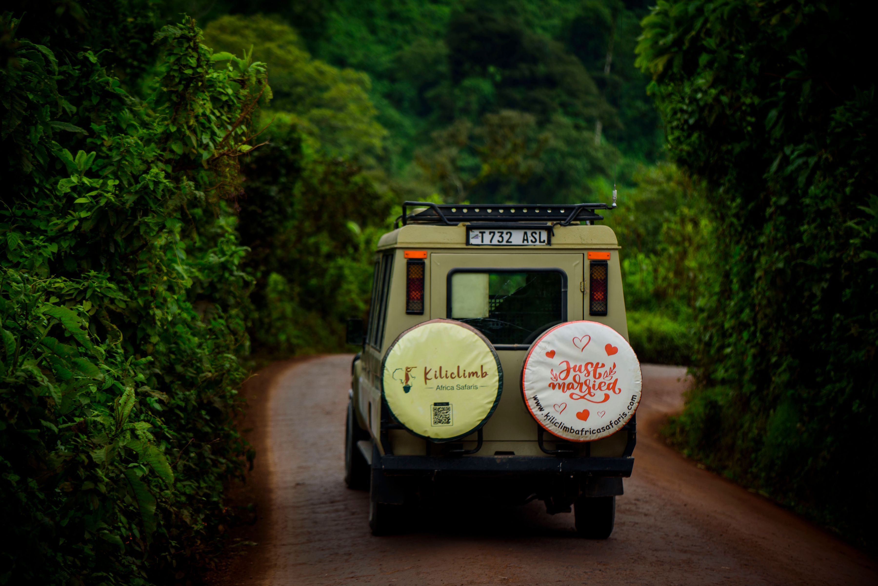 Image number 2 for Timeless Luxury In Tanzania: From Baobabs To Big Cats
