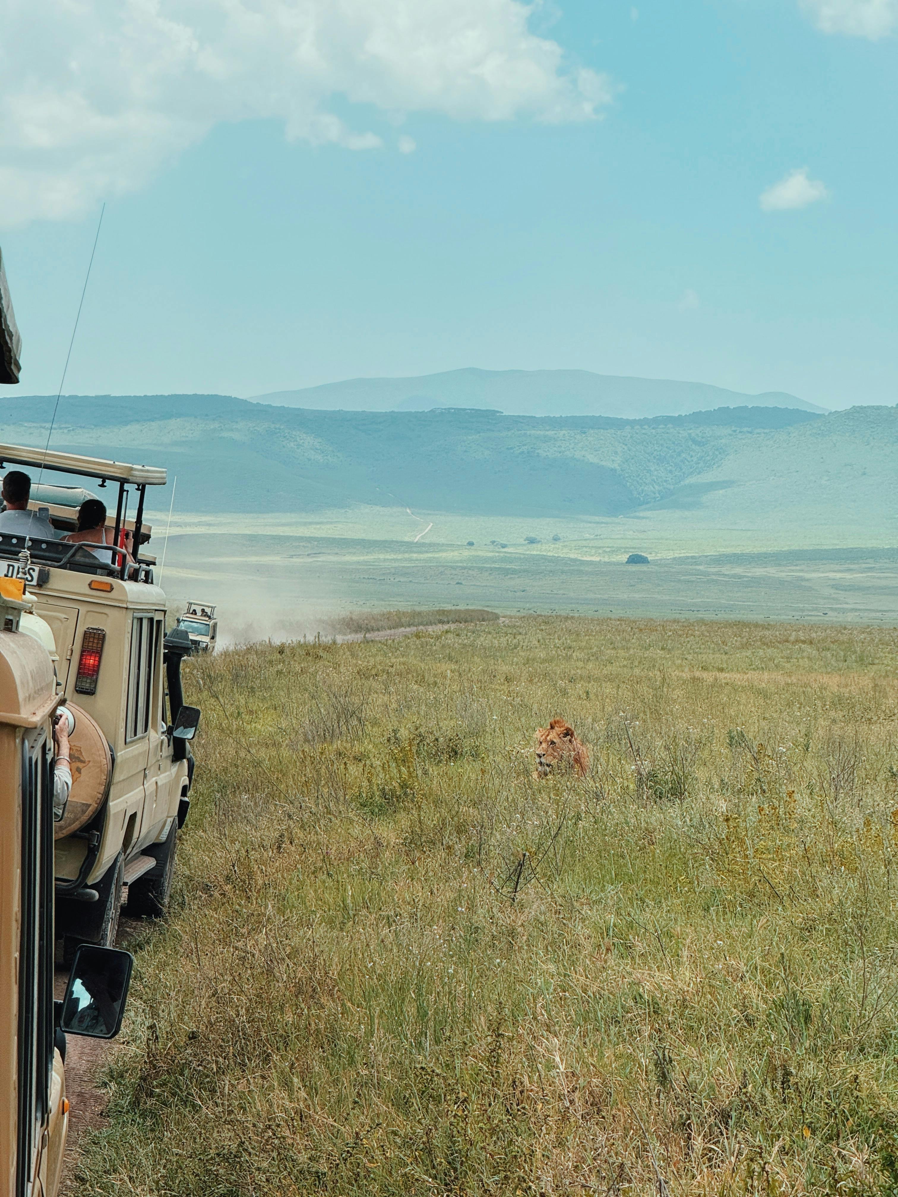 Image number 4 for 4-Day Safari On A Budget