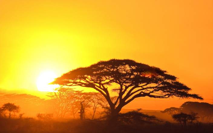 background image for - 8-Day Serengeti Migration Fly-in Safari