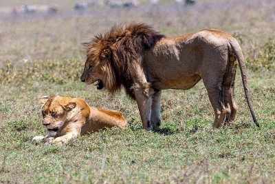 Image number 2 for Tarangire And Ngorongoro Cultural Experience Safari