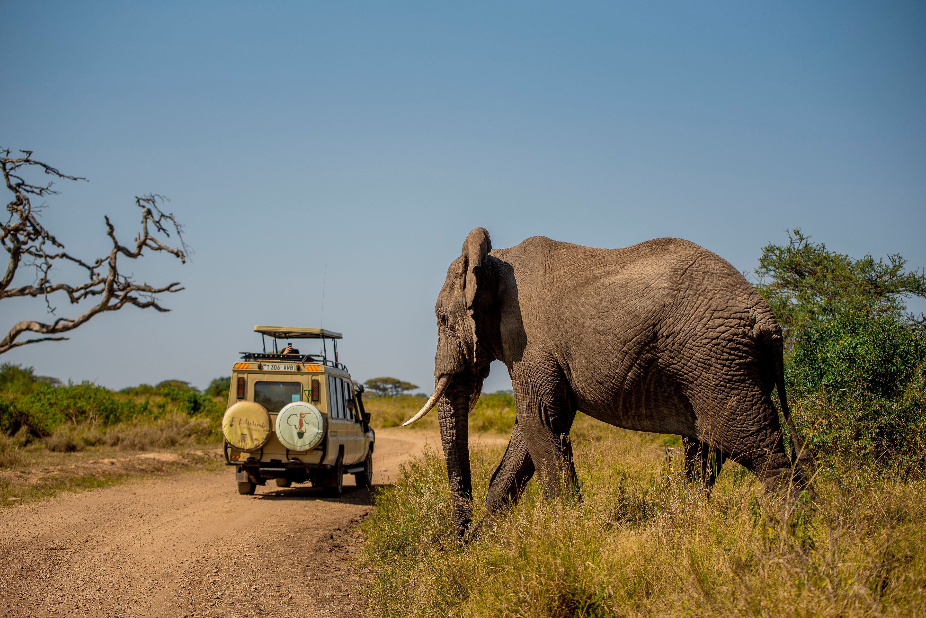 Image number 6 for Exclusive Northern Tanzania Luxury Safari