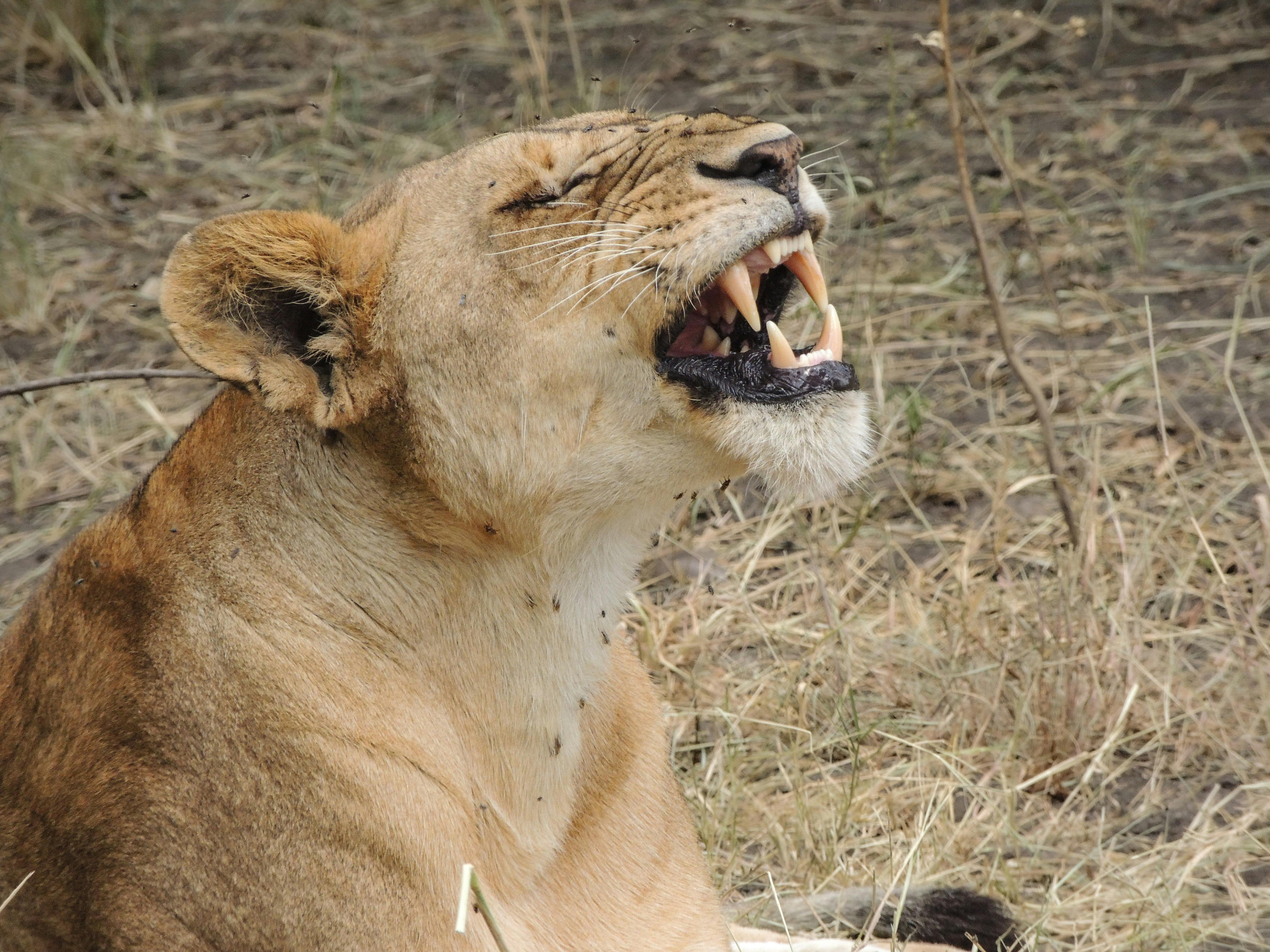 background image for - 3 Days Group Joining Budget Tour