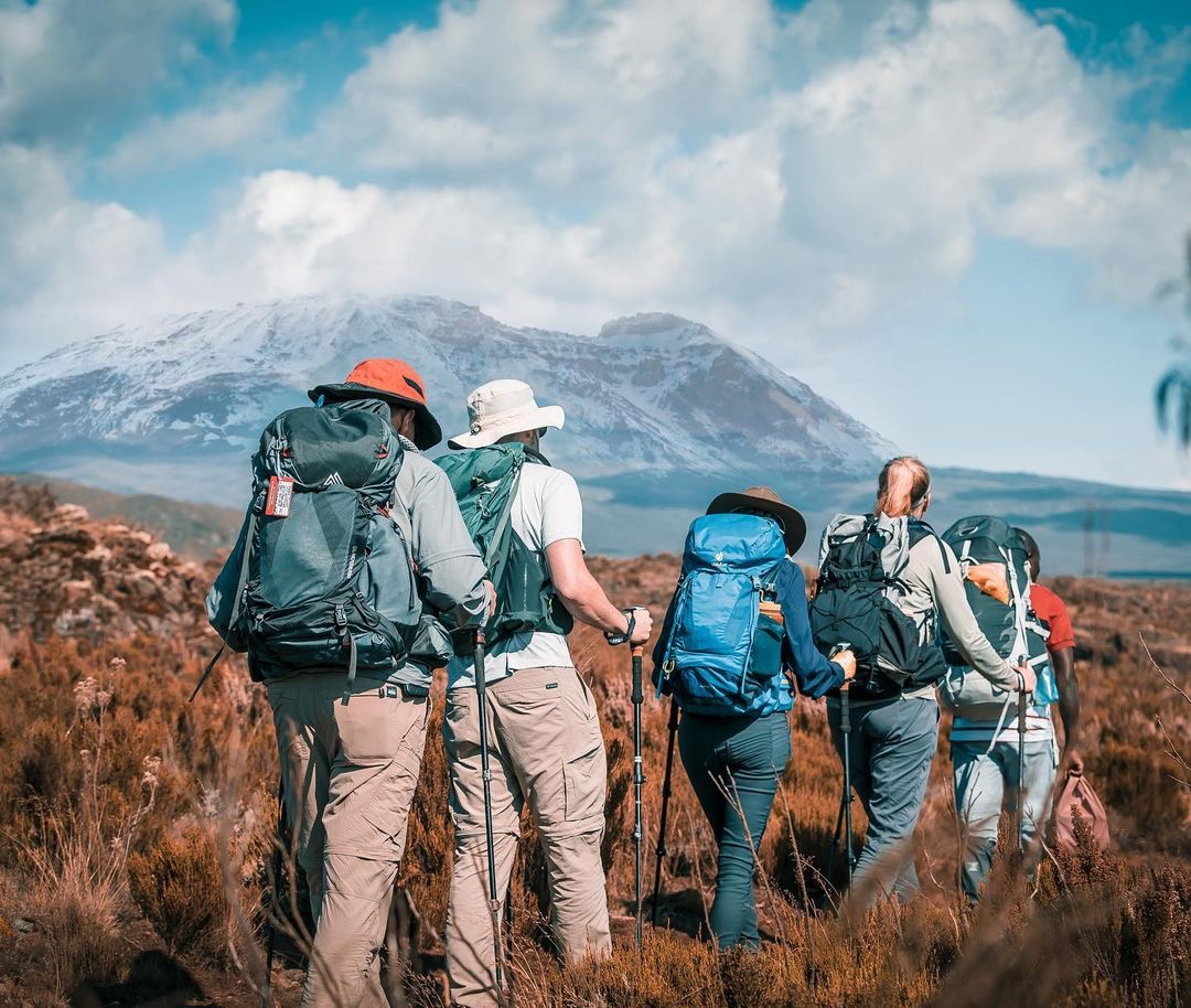 background image for - 6 Days Machame Route Climbing Itinerary