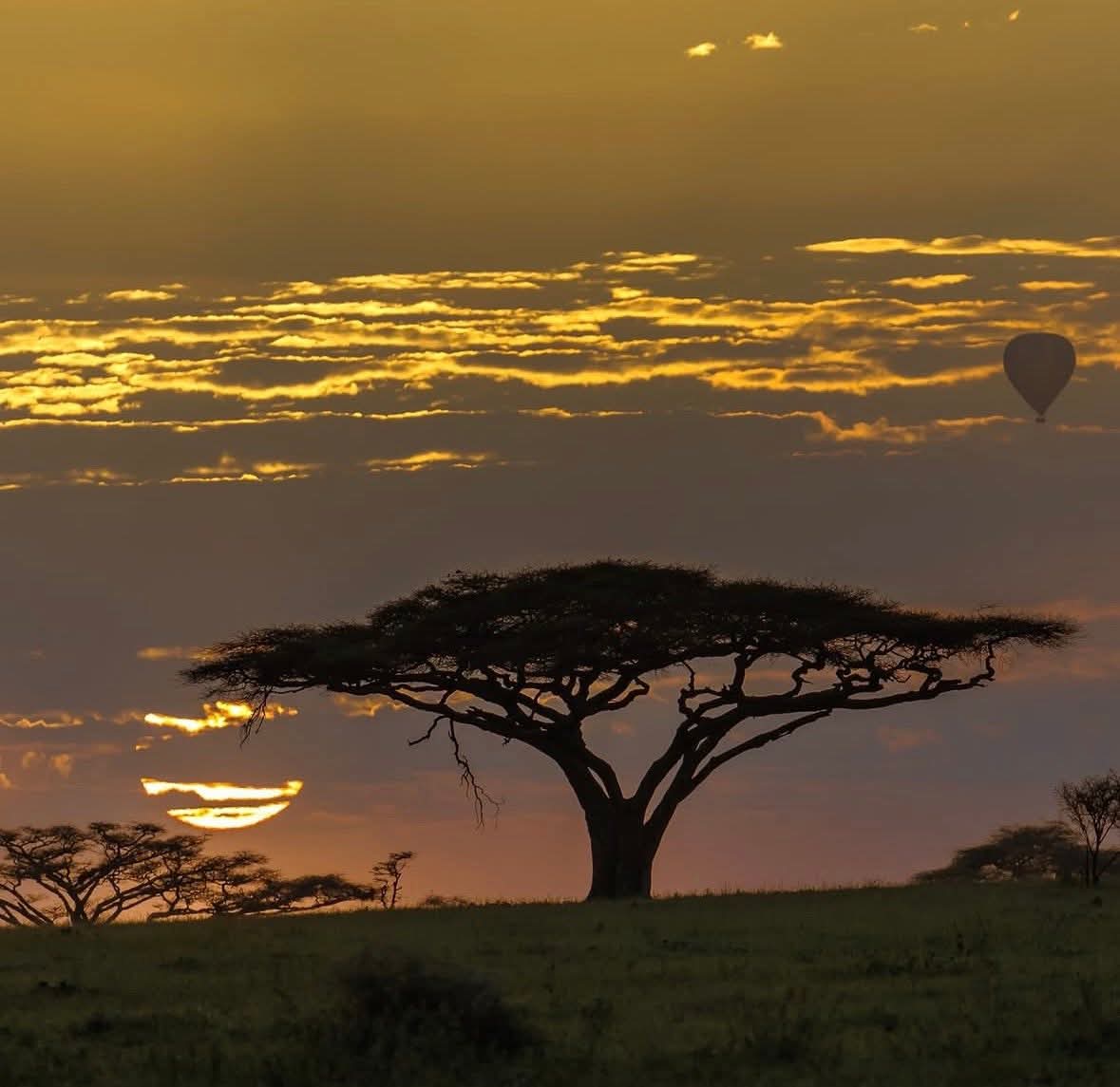 Image number 3 for Essence Of Tanzania - Luxury Tarangire, Ngorongoro & Manyara 