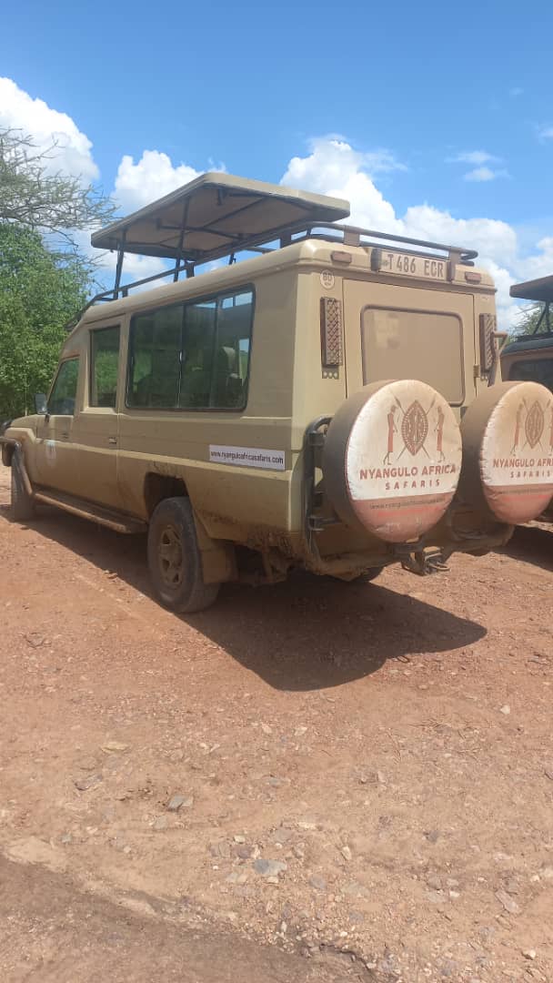 Image number 5 for 4 Days Serengeti National Park 