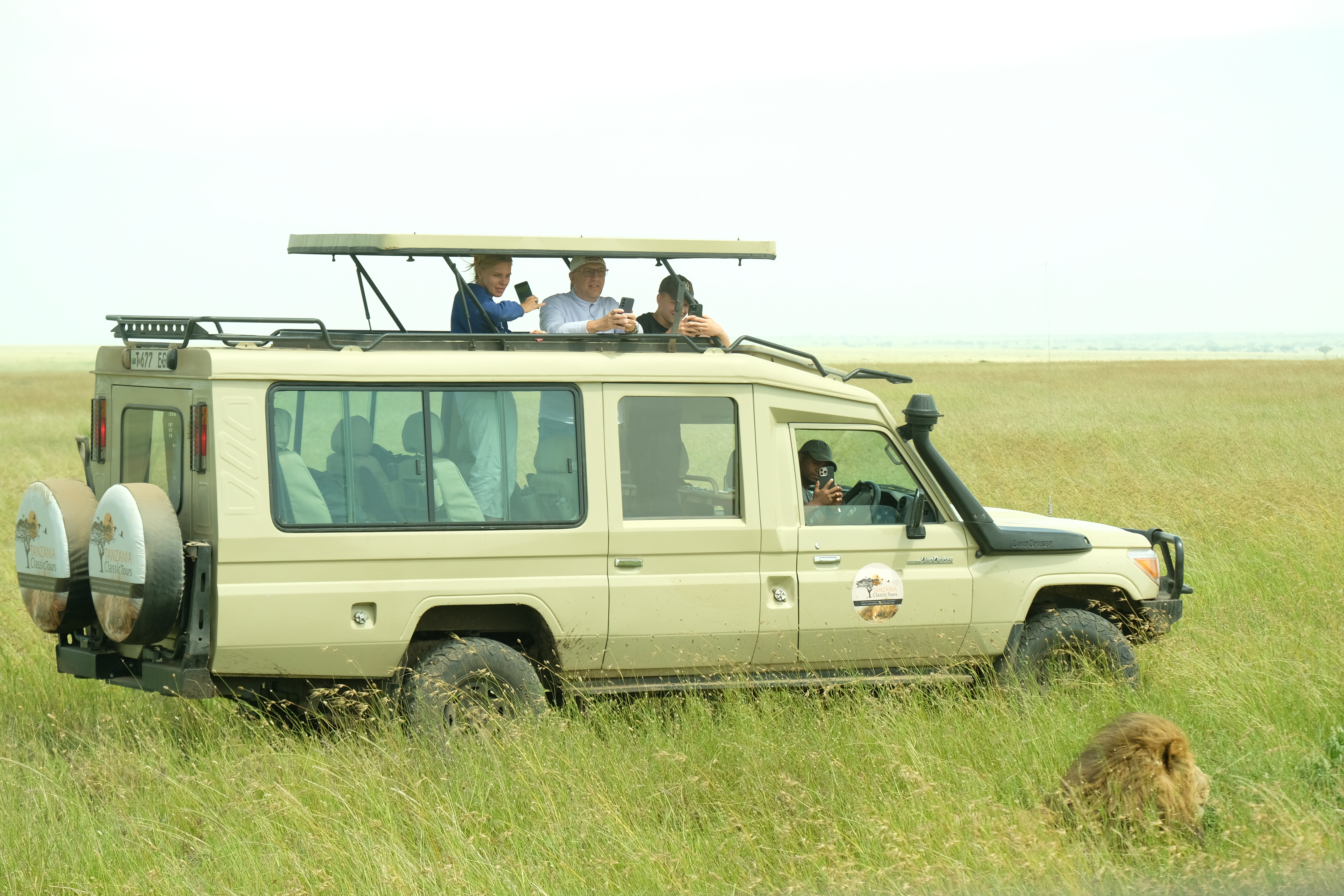 Image number 2 for Tanzania Classic Tours – 3-Day Luxury Safari Experience
