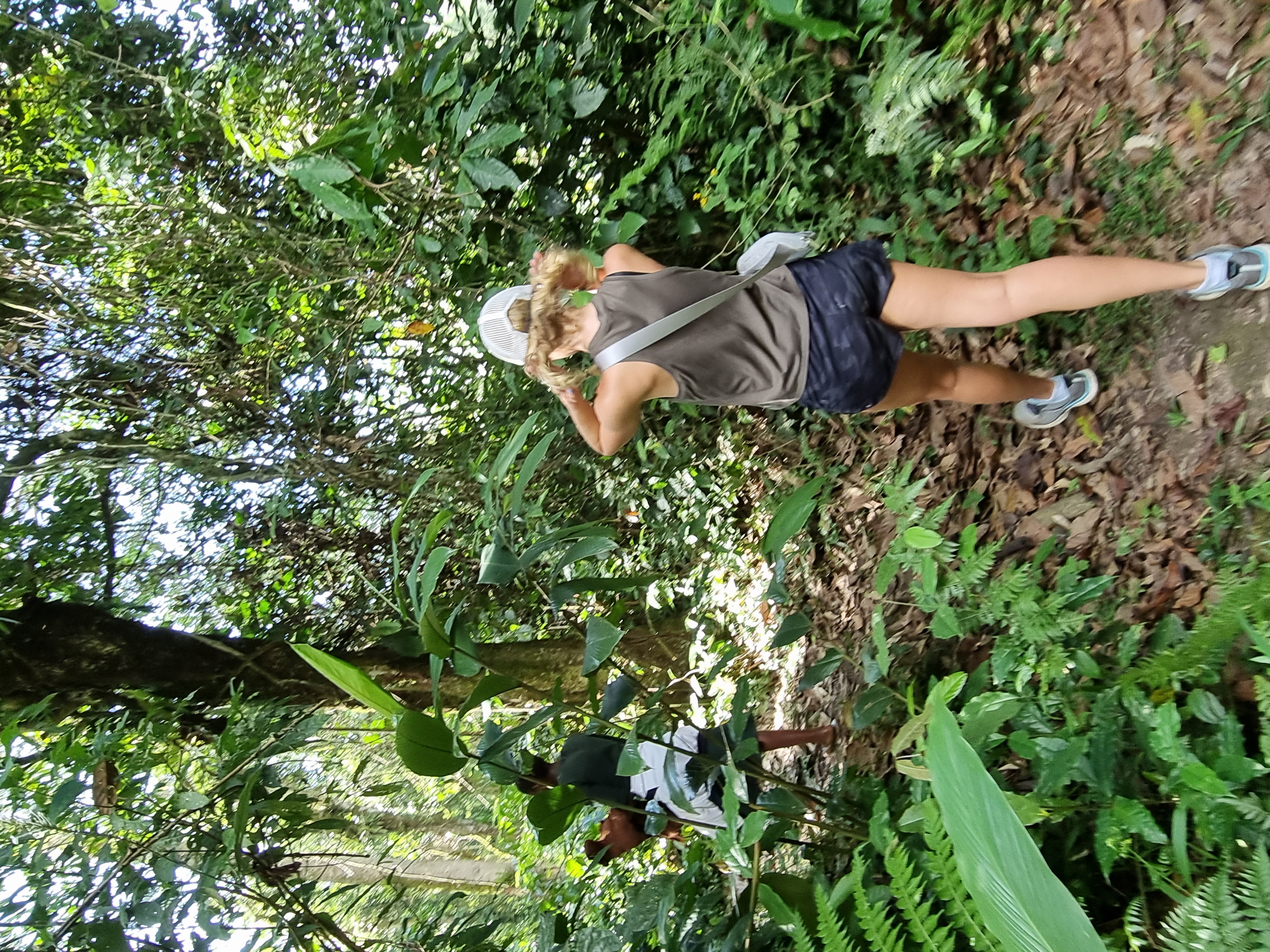 background image for - 8 Days Uganda Primate Tracking Safari