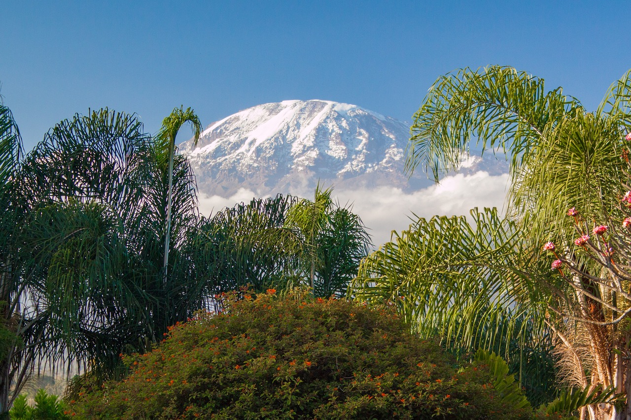 background image for - Mt.kilimanjaro Hiking Via Marangu Route
