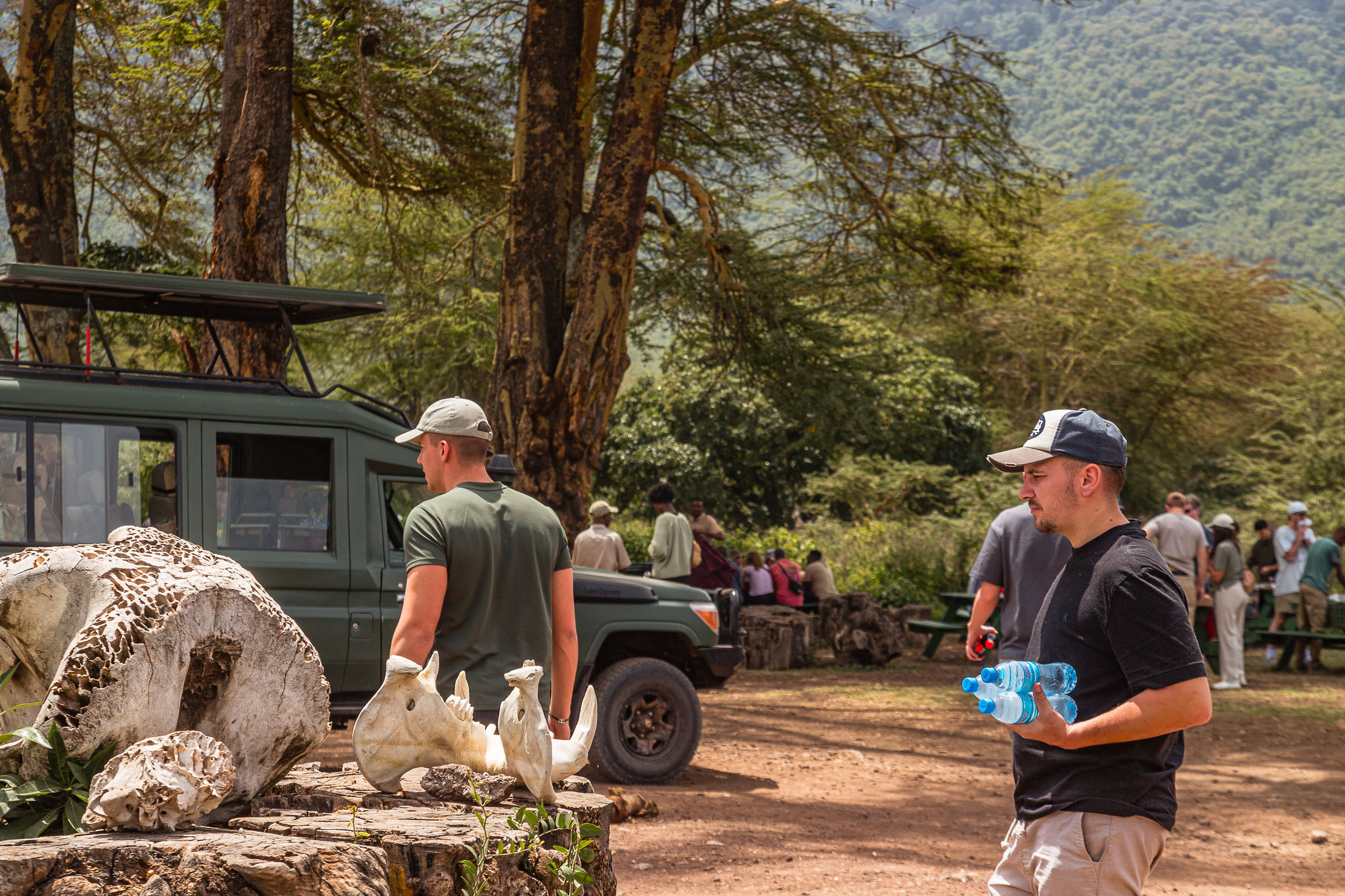 Image number 2 for 2-Day Northern Tanzania Safari from Zanzibar