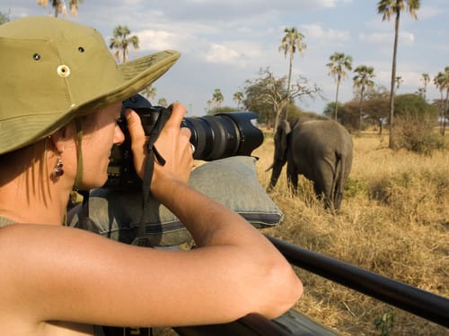 Image number 1 for Tarangire, Serengeti And Ngorongoro Crater