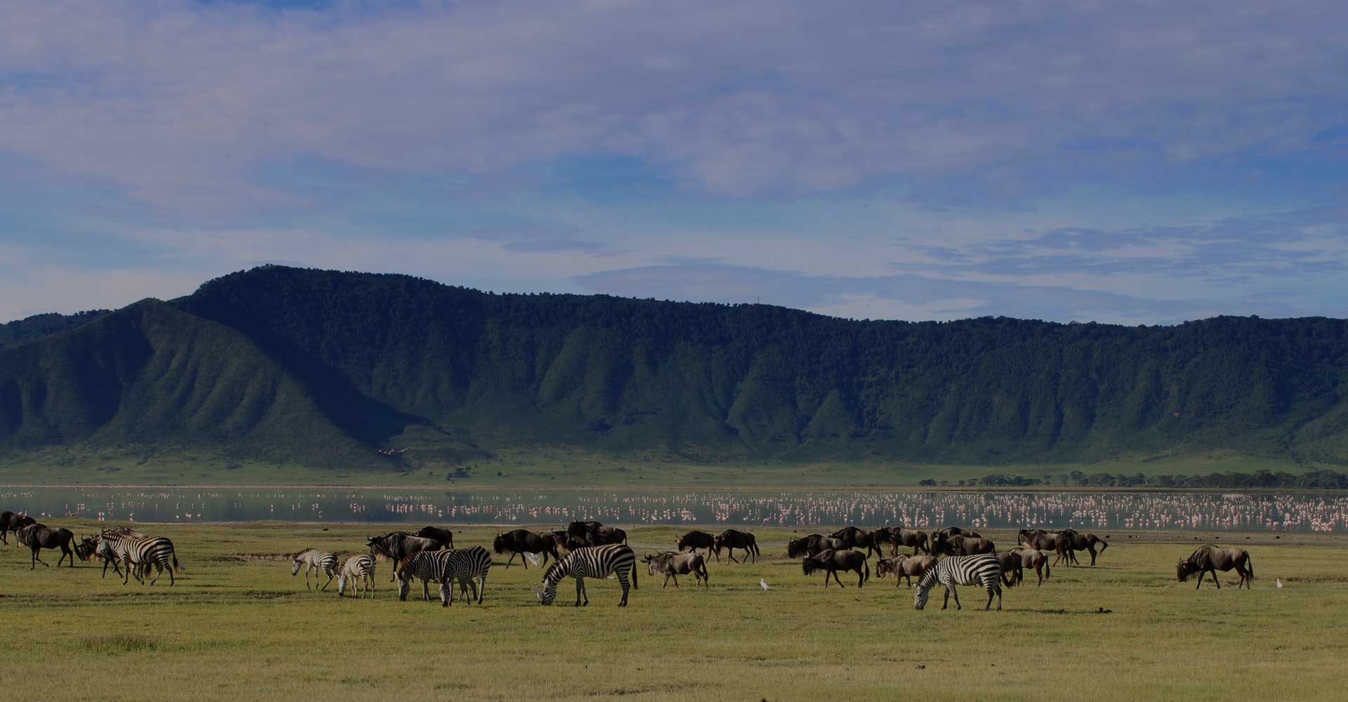 Image number 6 for 2-Day Experience Safari To Tarangire And Ngorongoro