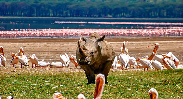 background image for - 8 Days Tanzania Classic Holiday Safari
