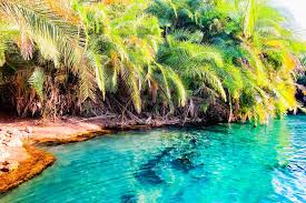 Image number 3 for Chemka Hotsprings Day Trip