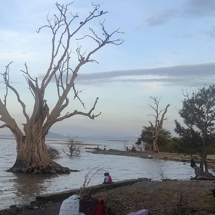 Image number 5 for Ethiopia Rift Valley Lakes Wildlife Nature Escape