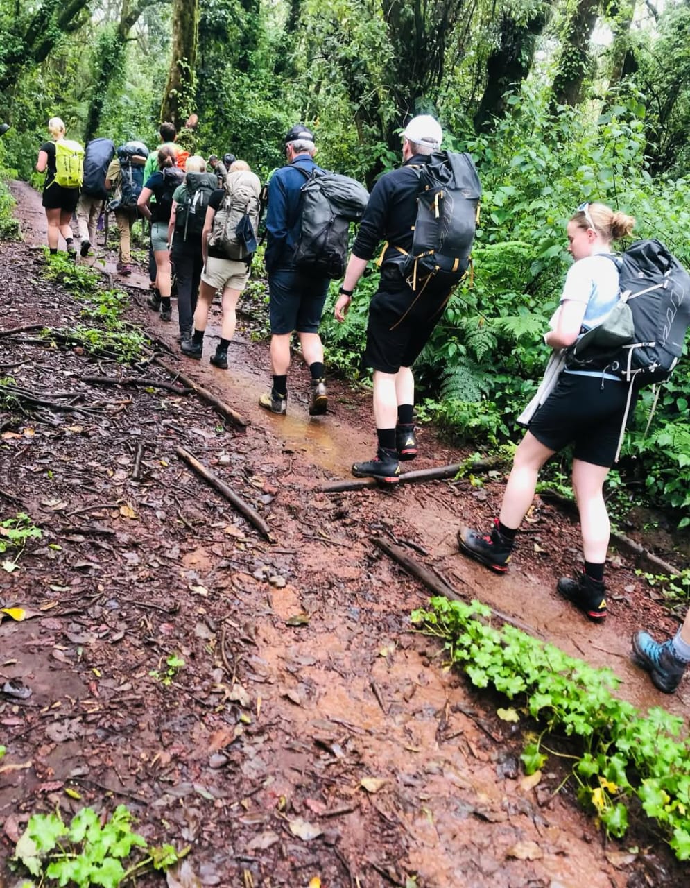 Image number 2 for 7-Day Mount Kilimanjaro Climb – Lemosho Route | Tanzania