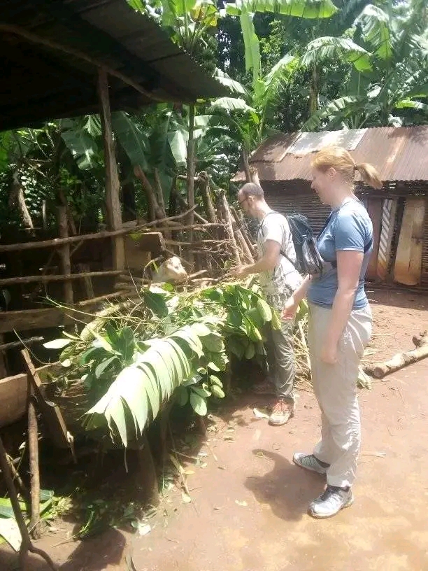 Image number 4 for Mbokomu Hiking And Coffee Tour