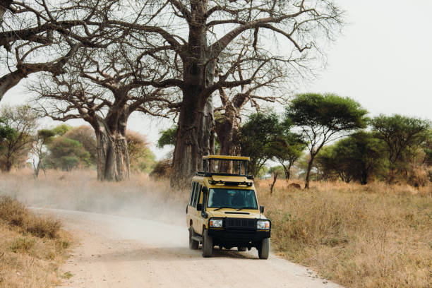 background image for - 5 Days Tanzania Group Shred Safari