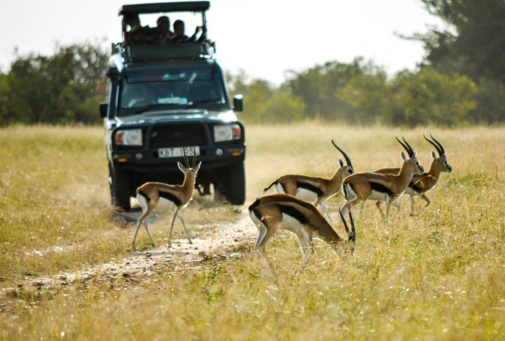background image for - 3 Days Tanzania Luxury Safari