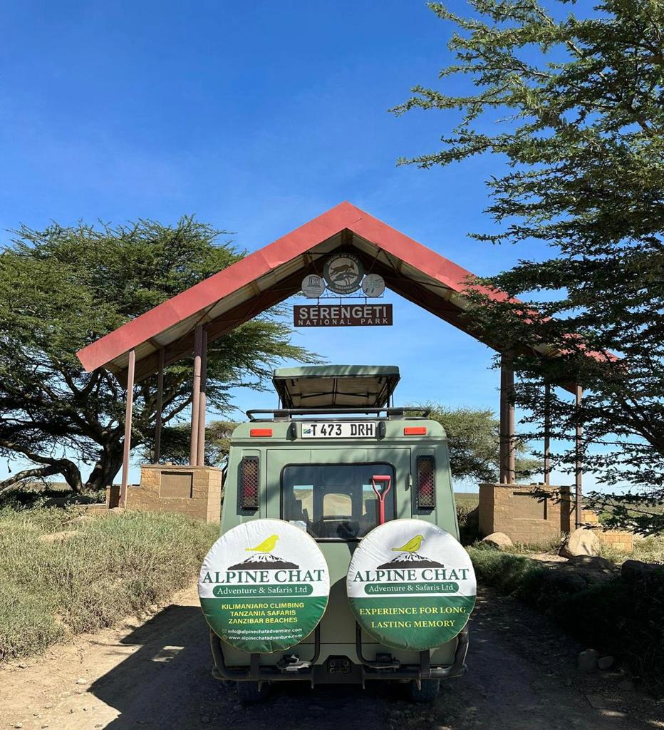 background image for - 6 Days Marvelous Tanzania Lodge Safari