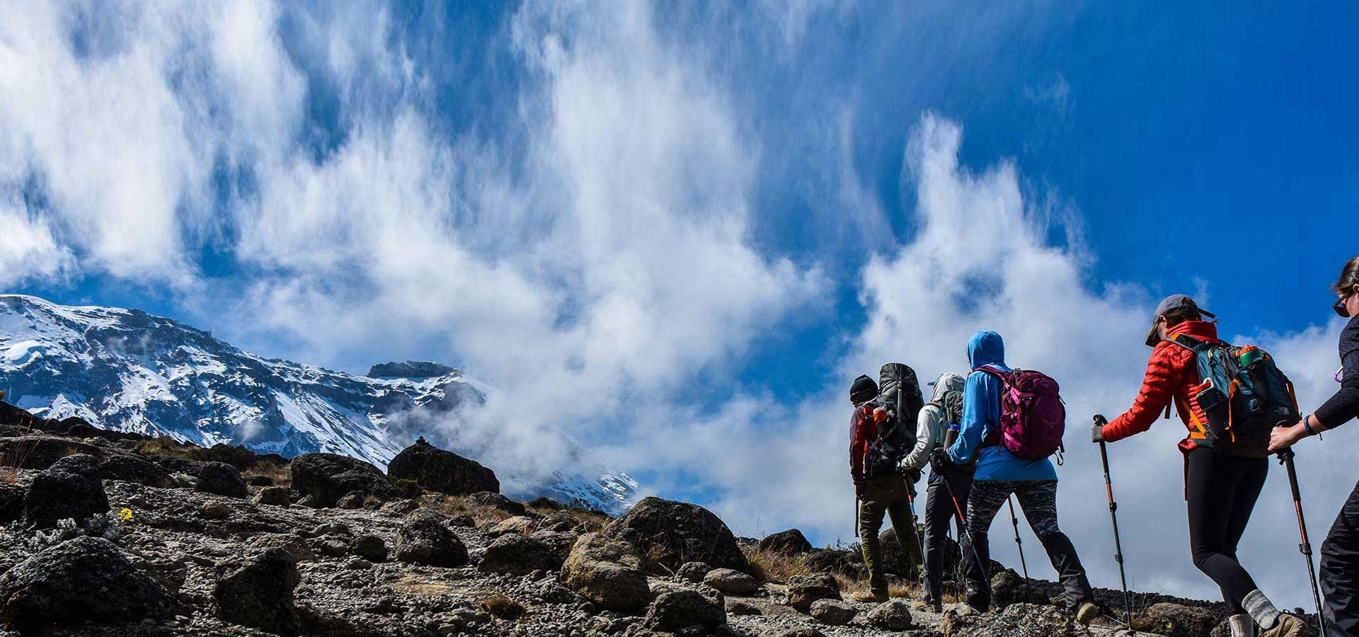 background image for - 7-Day Kilimanjaro Climb Via Lemosho 