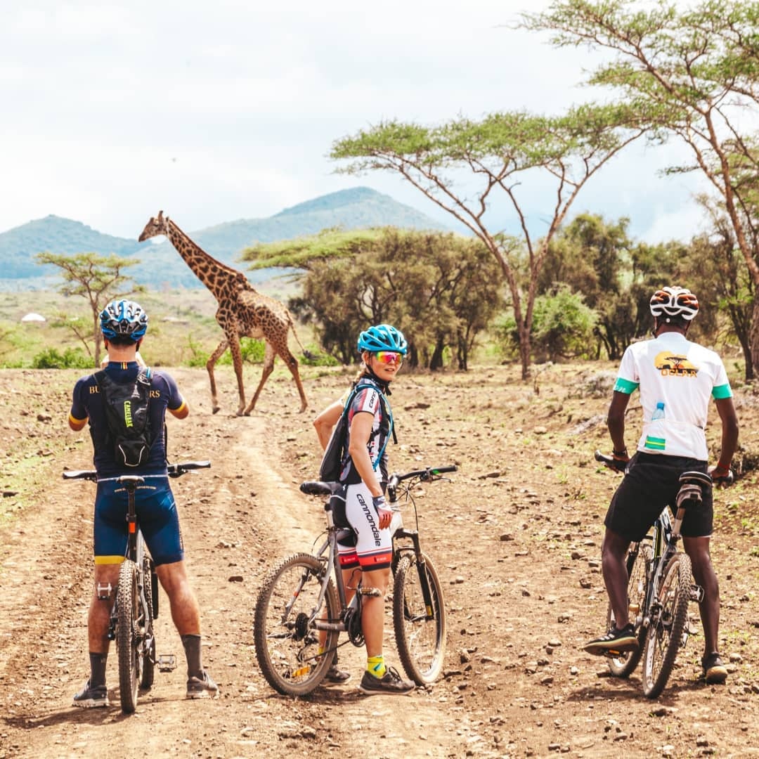 background image for - Cycle to Kilimanjaro Bike Park Safari 