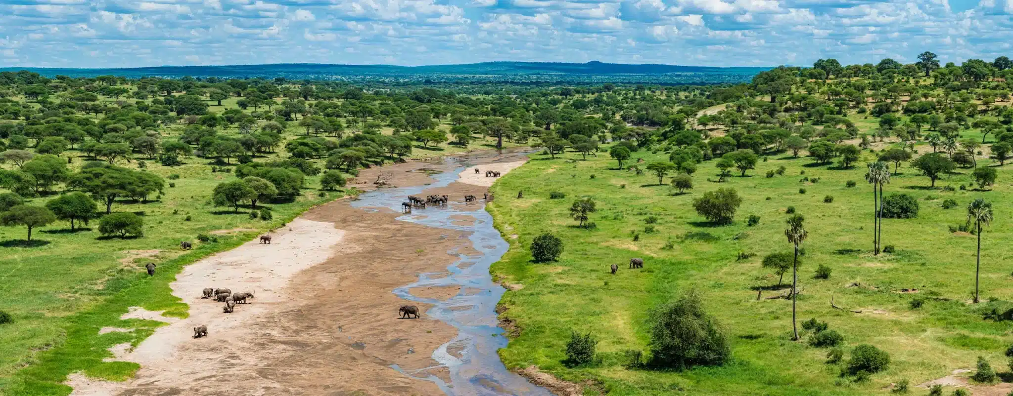 Image number 4 for Tanzania 7 Days Migration Safari