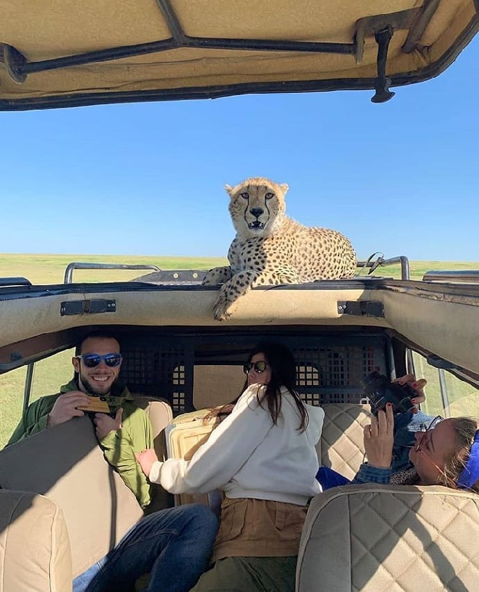 background image for - Combo Tour (kilimanjaro Climb & Safari)