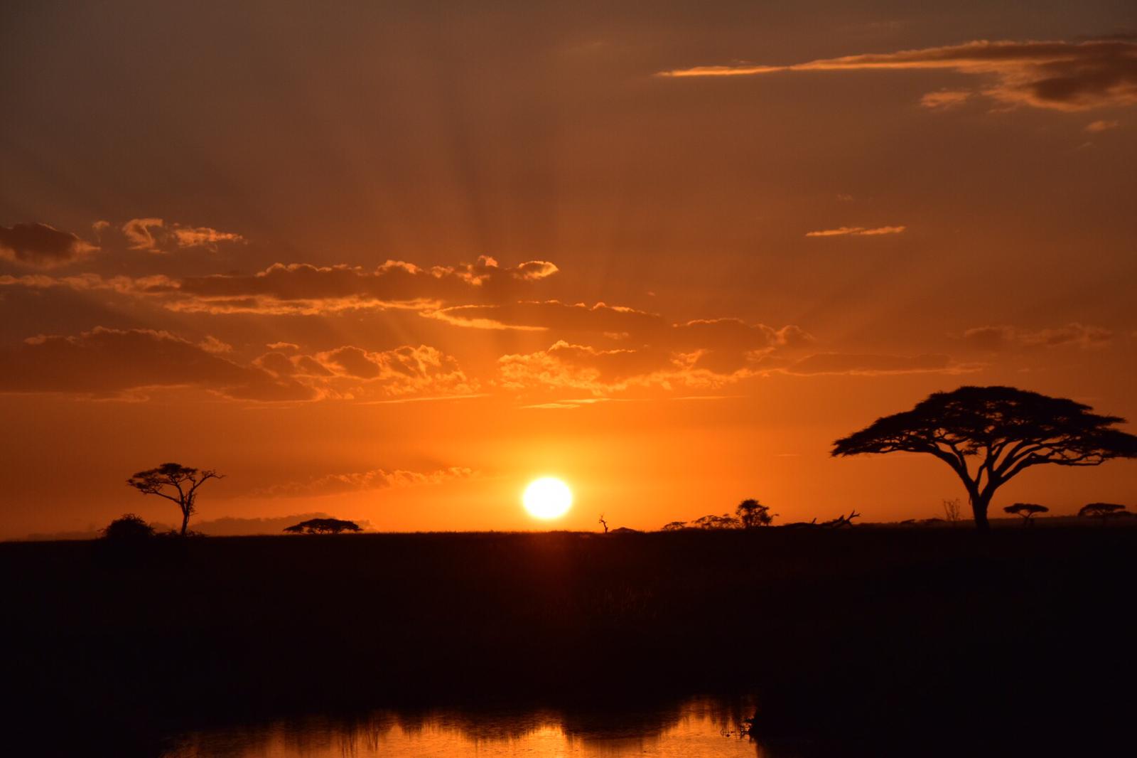 Image number 5 for 1 Day Tanzania Private Safari Package Itinerary