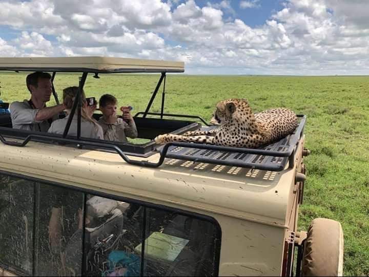 background image for - Tarangire National Park Day Trip