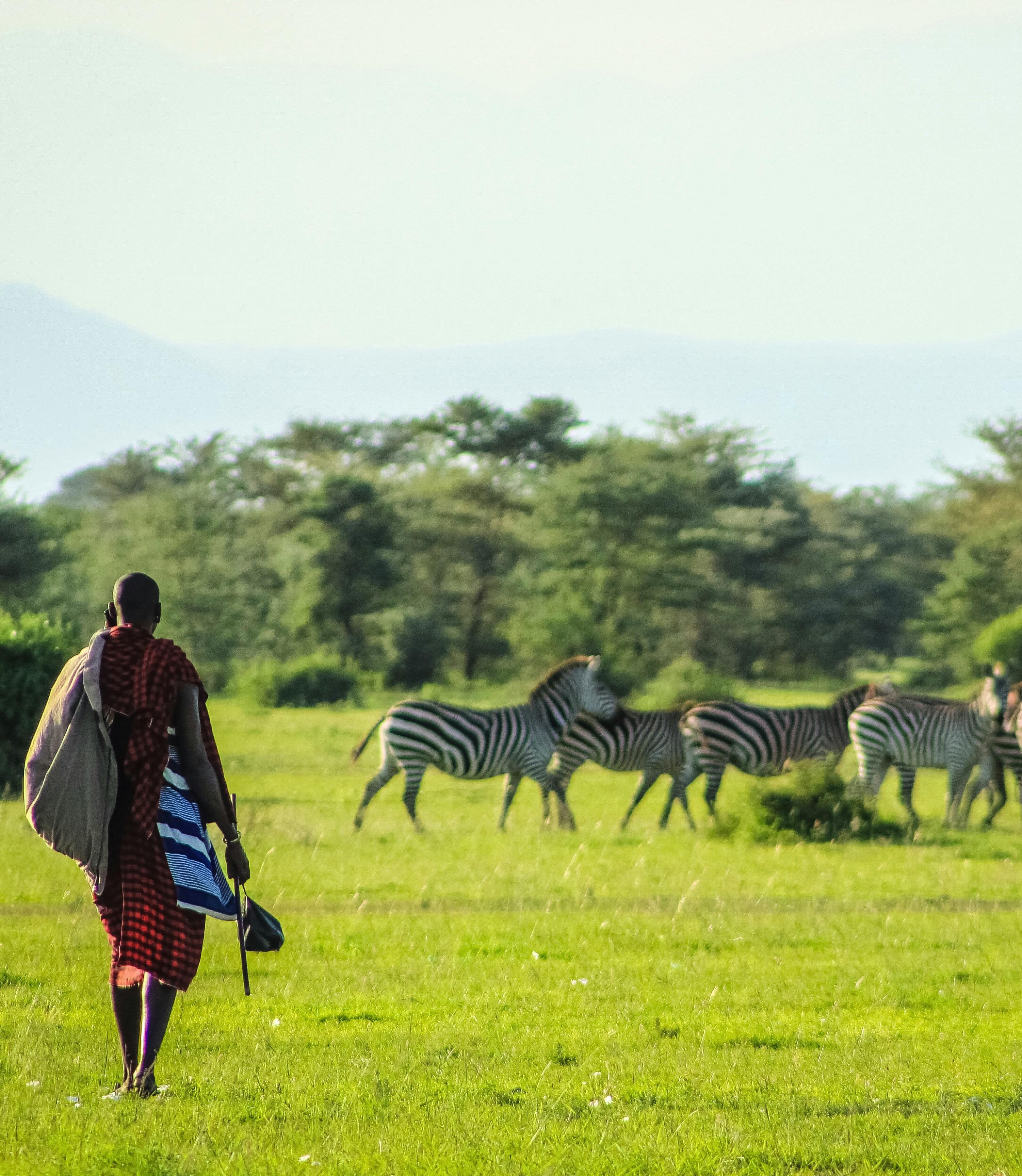 Image number 1 for 4-Day Safari On A Budget