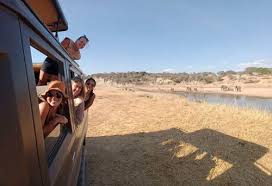 Image number 2 for Tarangire N.p & Lake Manyara Safari