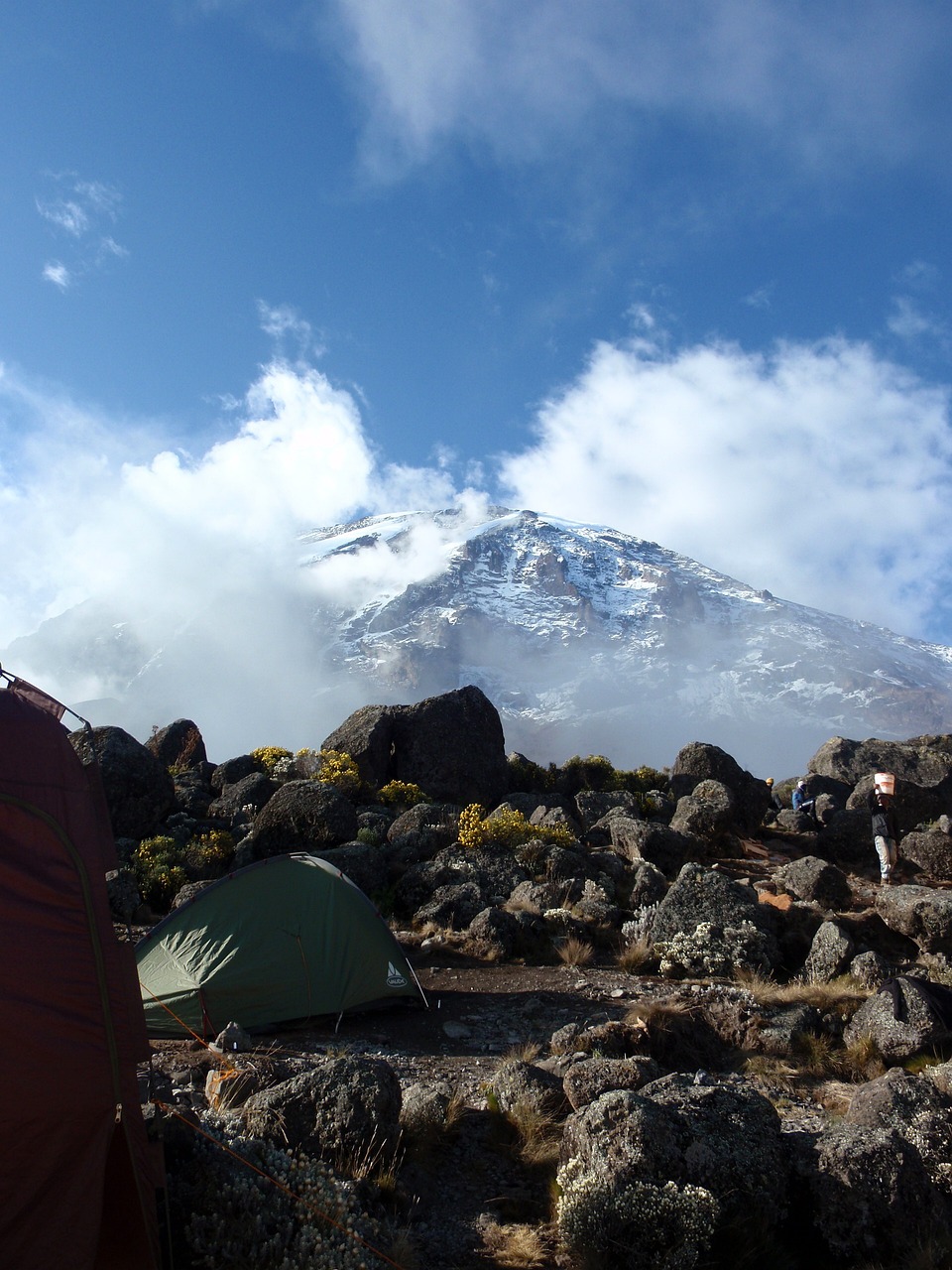 background image for - Mt.kilimanjaro Hiking Via Marangu Route 