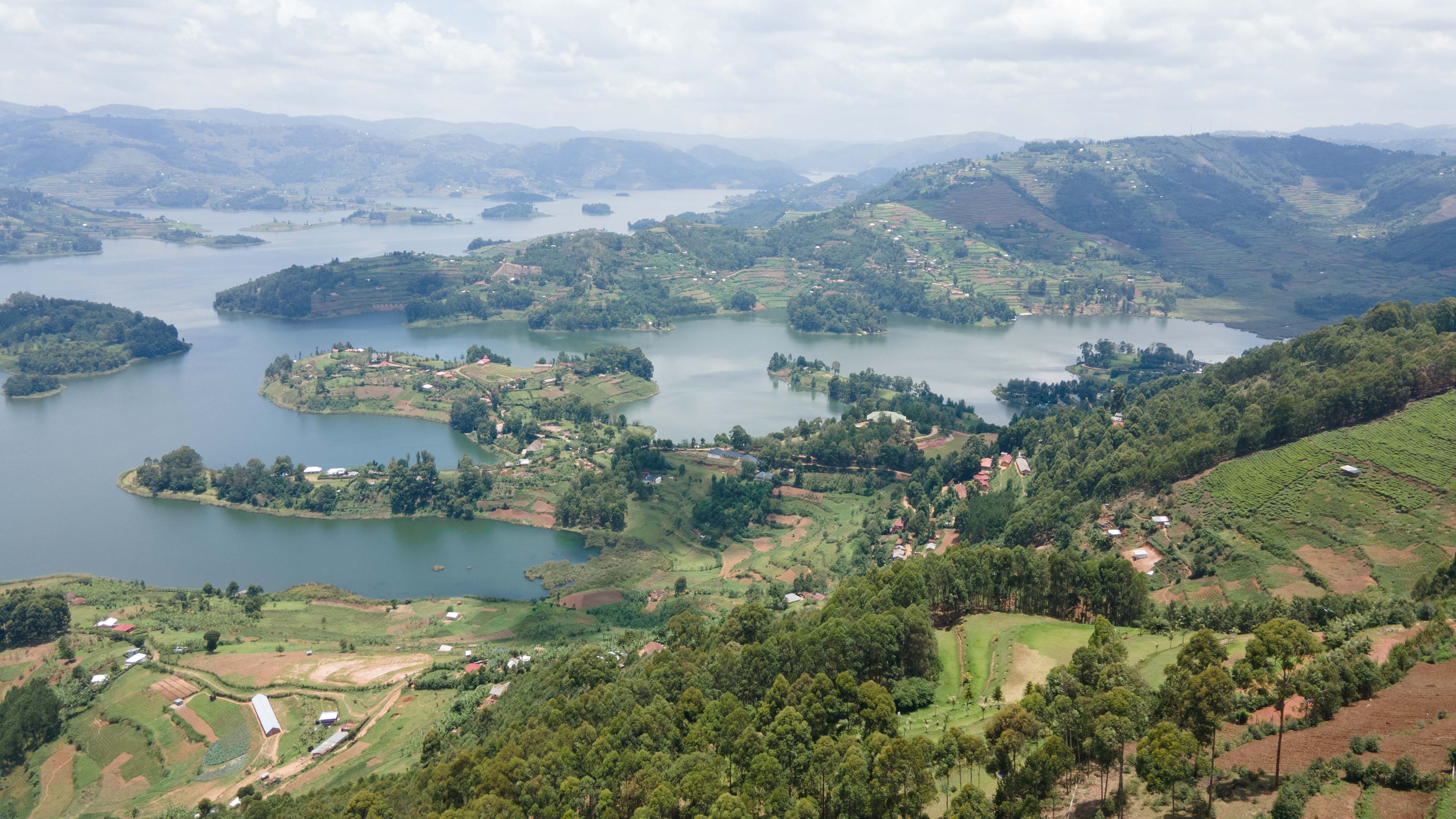 Image number 10 for 8-Days Gorilla Group Tours