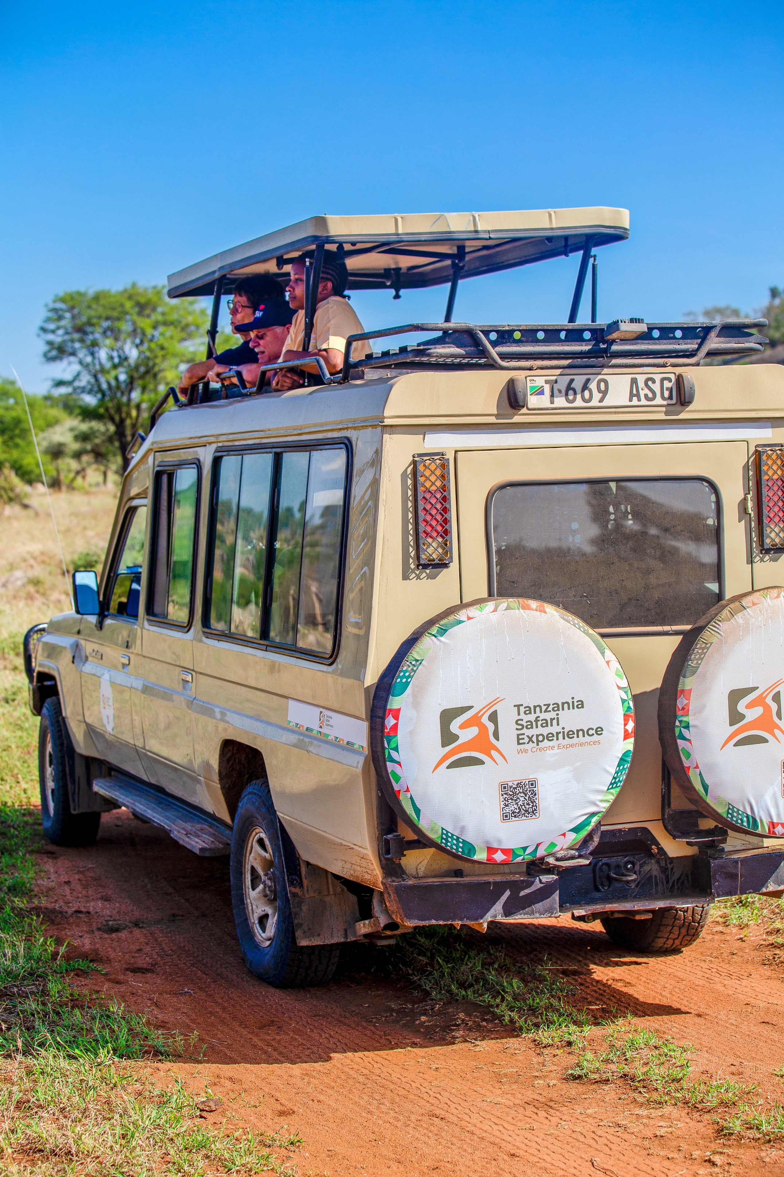 background image for - Tanzania Safari Experience