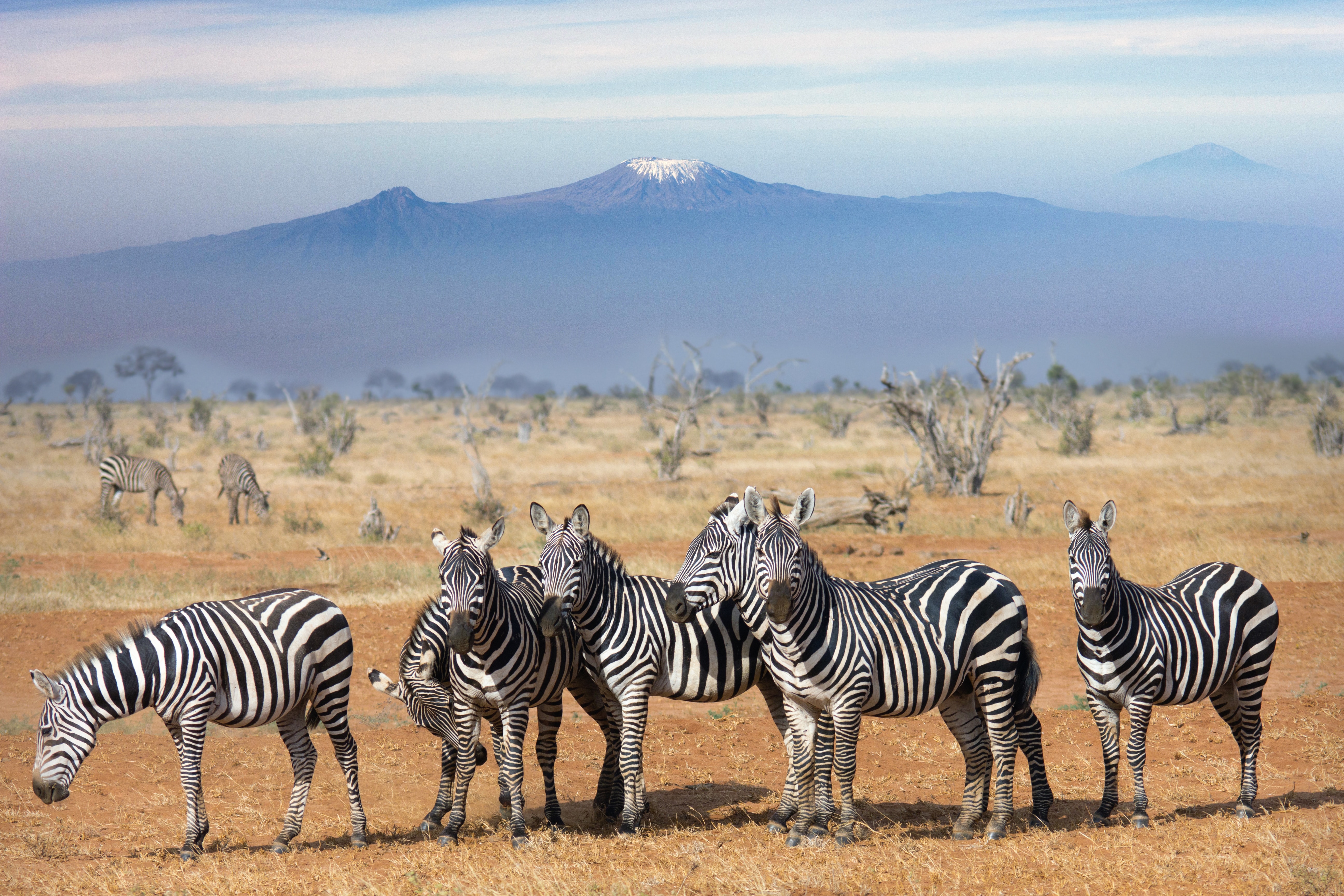 background image for - 5 Days Serengeti Migration