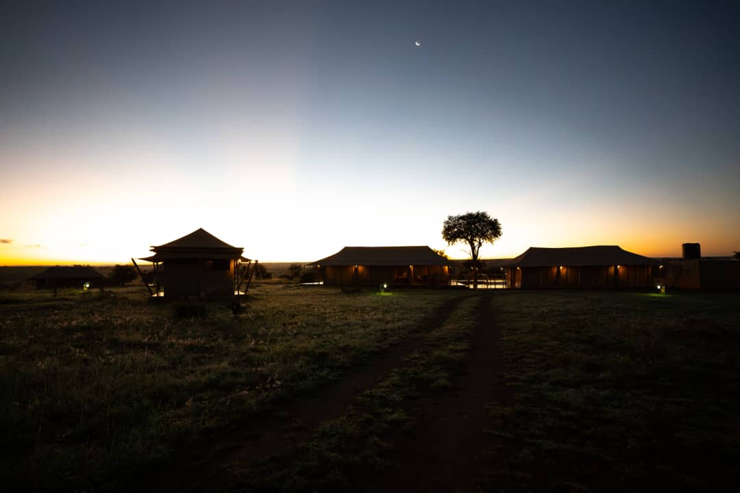 background image for - 4 Days Serengeti National Park 