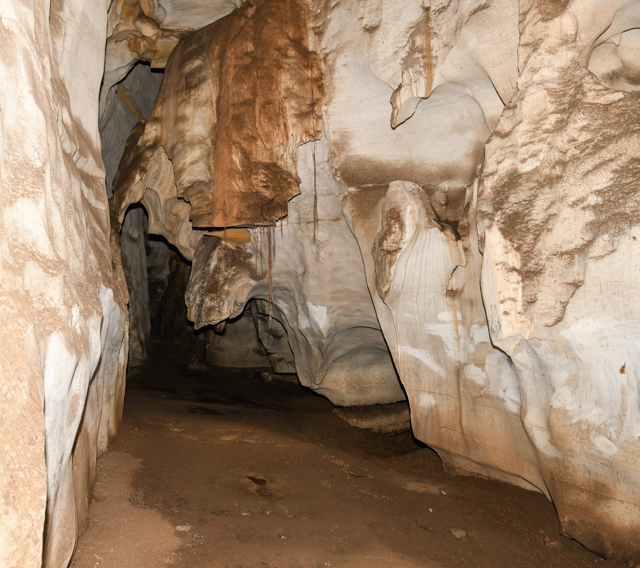 Image number 3 for Half-day Cycling Trip To Amboni Caves & Sulphur Hot Springs