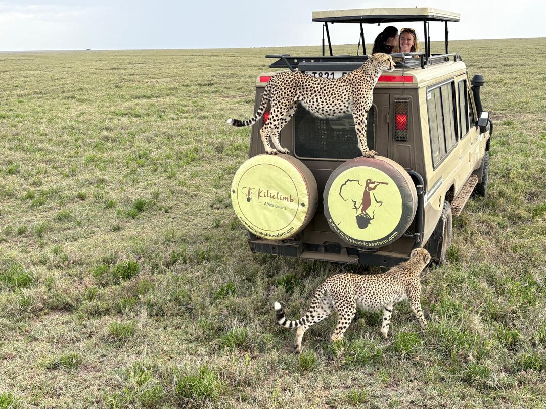 Image number 2 for Tanzania Budget Camping Safari Joining