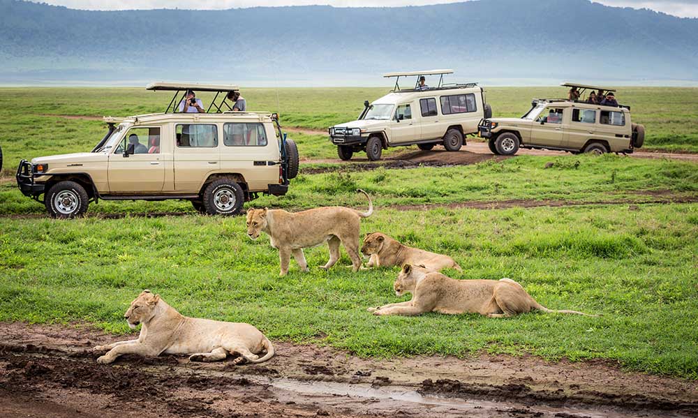 Image number 2 for 5 Days 4 Nights Serengeti,lake Manyara, Tarangire & Ngorongoro Crater