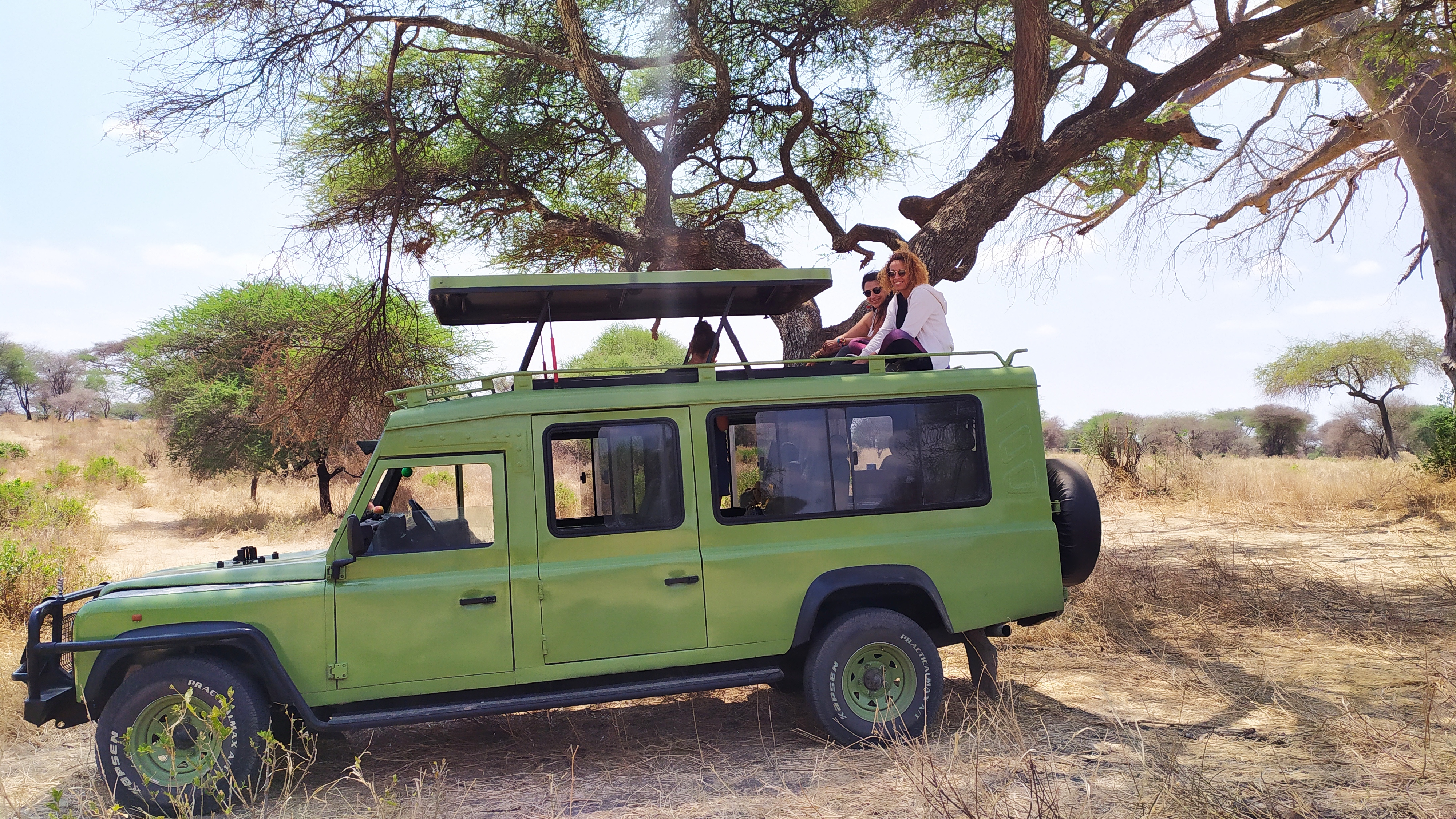 background image for -  Manyara, Serengeti & Ngorongoro Safari 